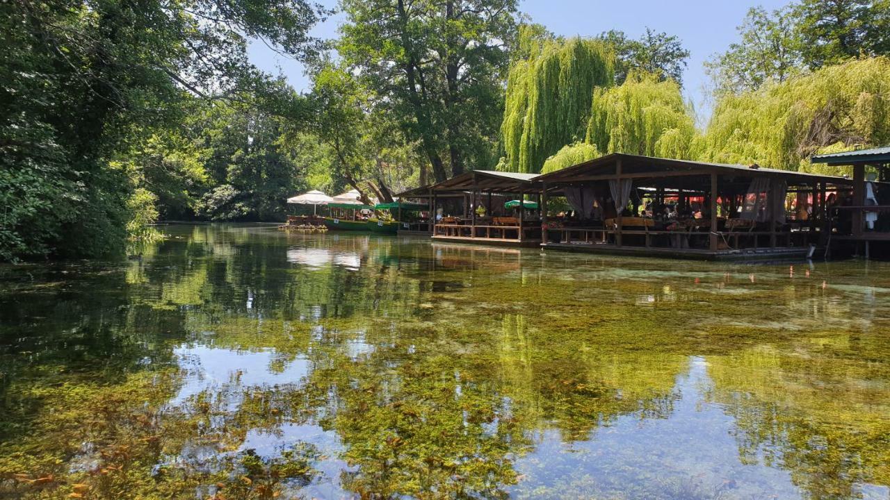 Villa Dudanov Ohri Dış mekan fotoğraf