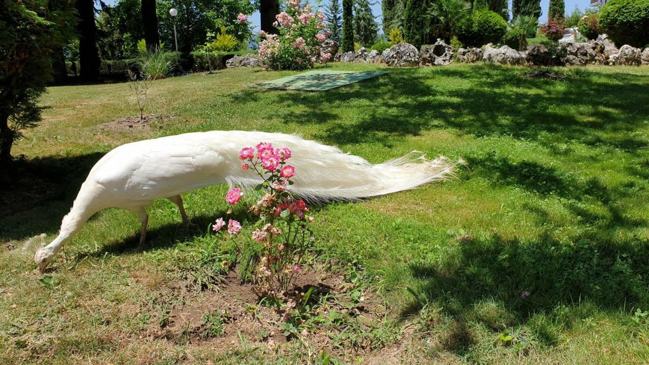 Villa Dudanov Ohri Dış mekan fotoğraf