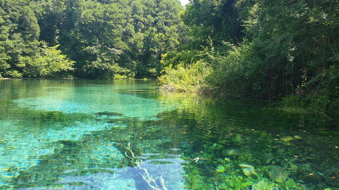 Villa Dudanov Ohri Dış mekan fotoğraf